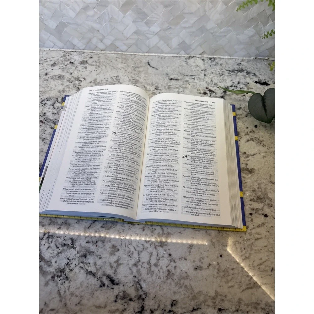 NIRV Faith Builders Bible Hardcover - Lego Bible Zondervan Kids Christianity Fun
